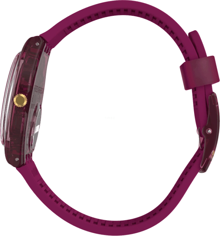 Swatch,Special Edition 34mm,34mm,Purple Red,Red,GR179