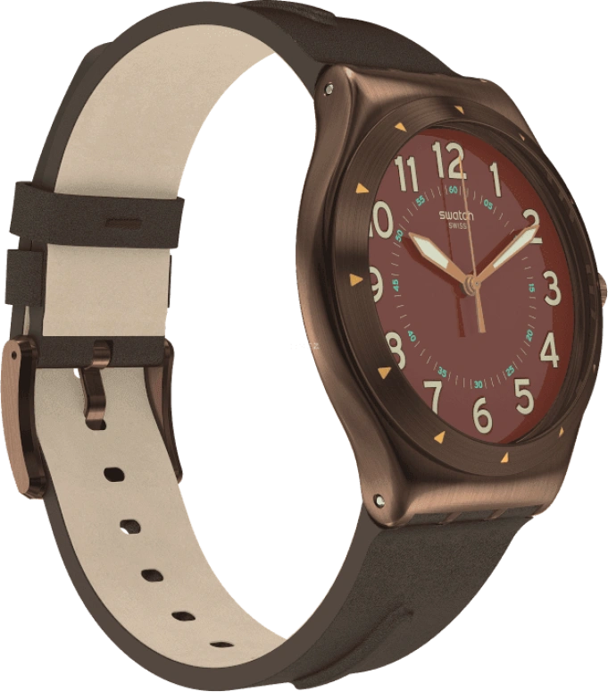 Swatch,IRONY 42.70x47.20mm,42.70x47.20mm,YWC100