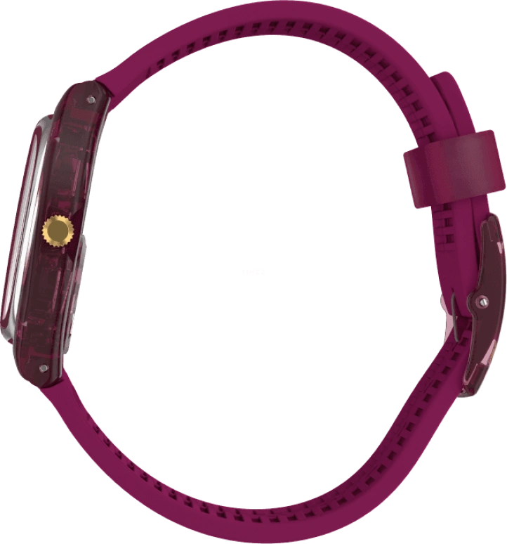 Swatch,Special Edition 34mm,34mm,Purple Red,Red,GR179