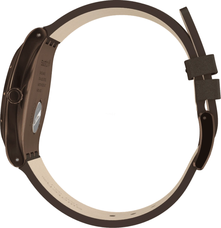 Swatch,IRONY 42.70x47.20mm,42.70x47.20mm,YWC100