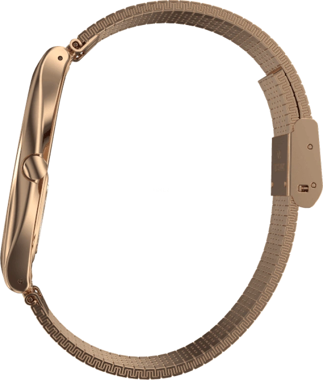 Swatch,SKIN ,Stainless Steel,Gold,SYXG101GG
