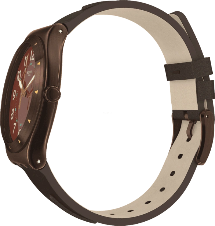 Swatch,IRONY 42.70x47.20mm,42.70x47.20mm,YWC100