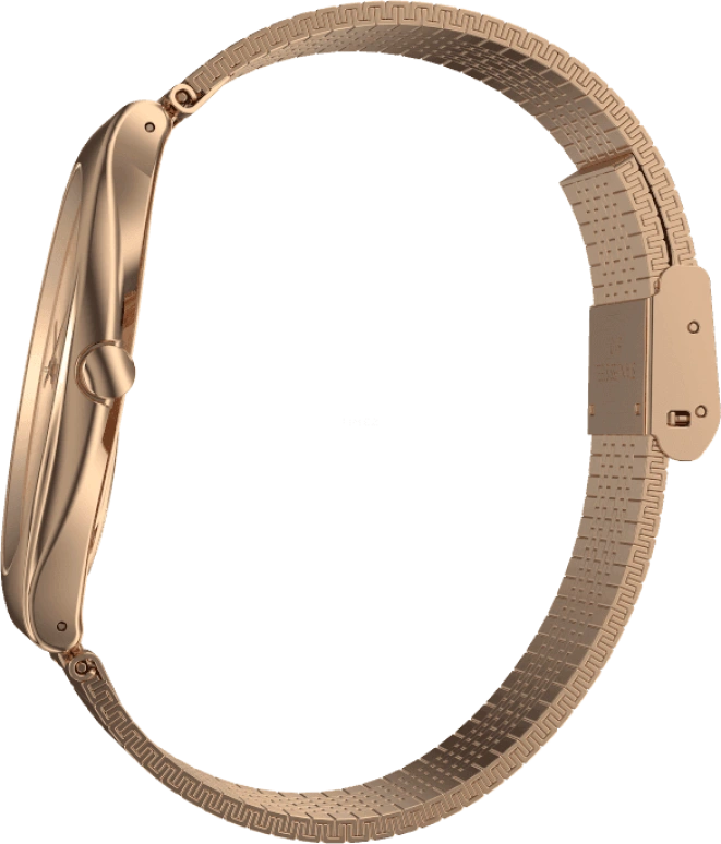 Swatch,SKIN ,Stainless Steel,Gold,SYXG101GG
