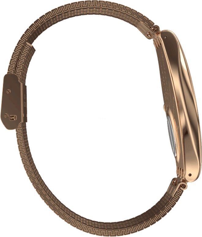Swatch,SKIN ,Stainless Steel,Gold,SYXG101GG