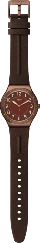 Swatch,IRONY 42.70x47.20mm,42.70x47.20mm,YWC100