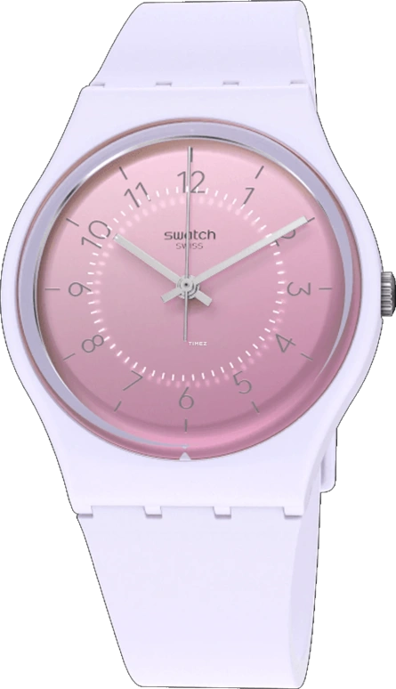 Swatch Originals SO28V100