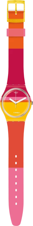 Swatch,Originals 34mm,34mm,Plastic,Multi-Color,Quartz,Sapphire,Crystal Glass,Round,GW198