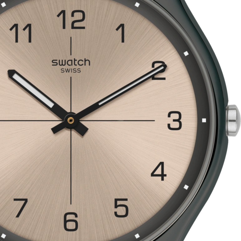 Swatch,SKIN ,SS07M100