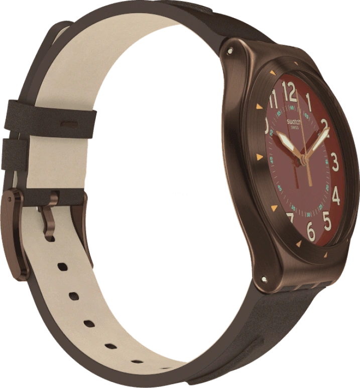 Swatch,IRONY 42.70x47.20mm,42.70x47.20mm,YWC100