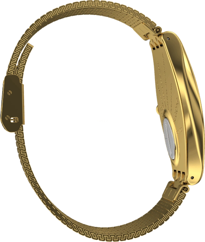 Swatch,SKIN ,Gold,SYXG106GG