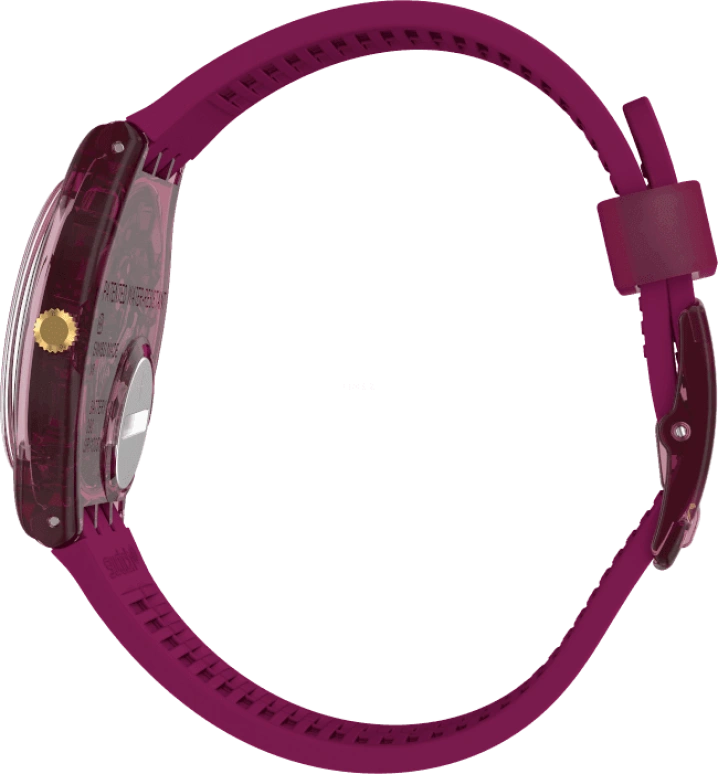 Swatch,Special Edition 34mm,34mm,Purple Red,Red,GR179