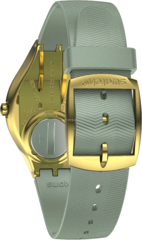 Swatch,SKIN 38mm,38mm,Gold,Closed,SYXG113