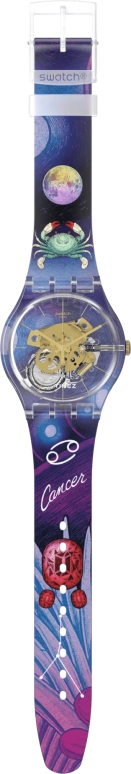 Swatch,Originals 41mm,41mm,Plastic,Transparent,Quartz,Sapphire,Crystal Glass,Round,SUOK147,SUOK147-030