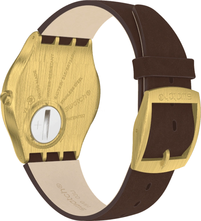 Swatch,SKIN ,SS07G100
