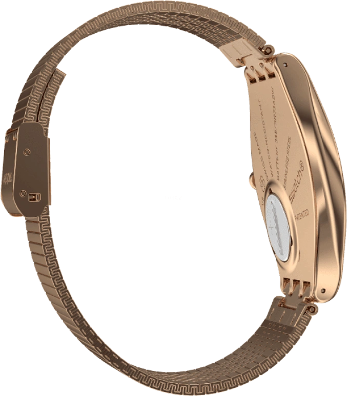 Swatch,SKIN ,Stainless Steel,Gold,SYXG101GG