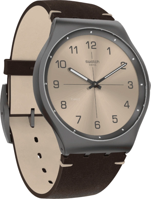 Swatch,SKIN ,SS07M100