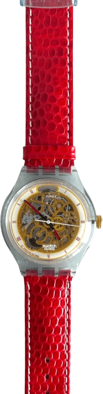 Swatch Other SAN103
