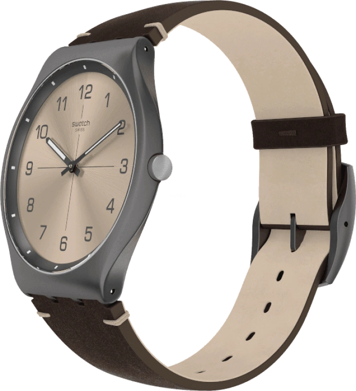 Swatch,SKIN ,SS07M100