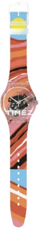 Swatch Other SUOK136-040