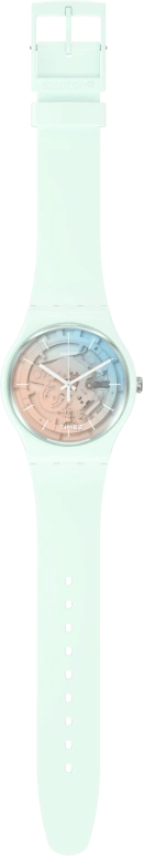 Swatch,Other 41mm,41mm,Bioceramic,Skeleton,Quartz,Sapphire,Crystal Glass,Round,SO32S101