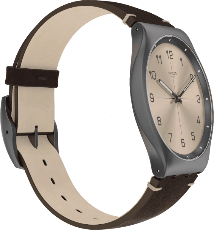Swatch,SKIN ,SS07M100