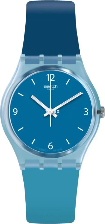 Swatch Originals GS161
