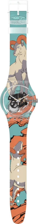Swatch,Originals 41mm,41mm,Plastic,Transparent,Quartz,Round,SUOK136,SUOK136-053
