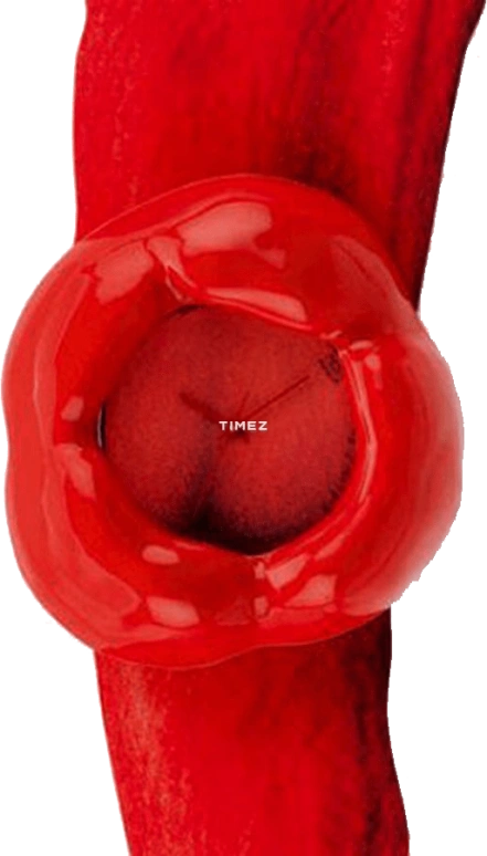Swatch Other PWZ102