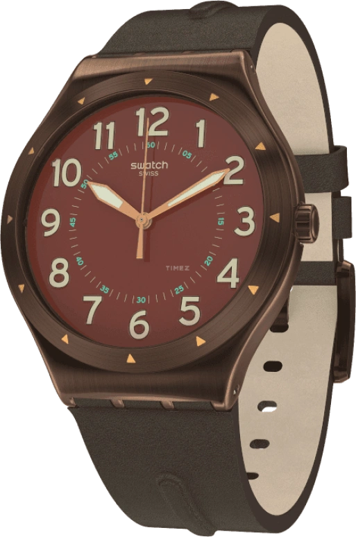 Swatch,IRONY 42.70x47.20mm,42.70x47.20mm,YWC100