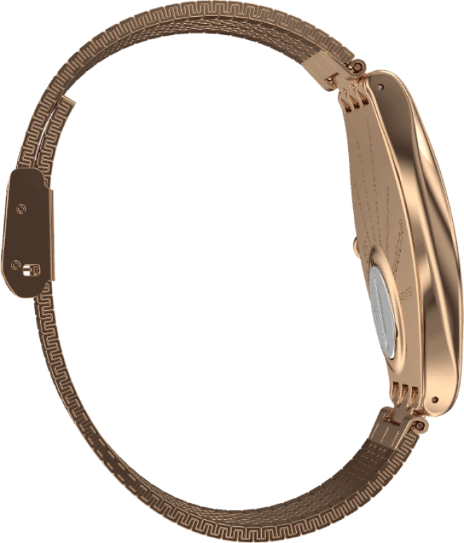 Swatch,SKIN ,Stainless Steel,Gold,SYXG101GG