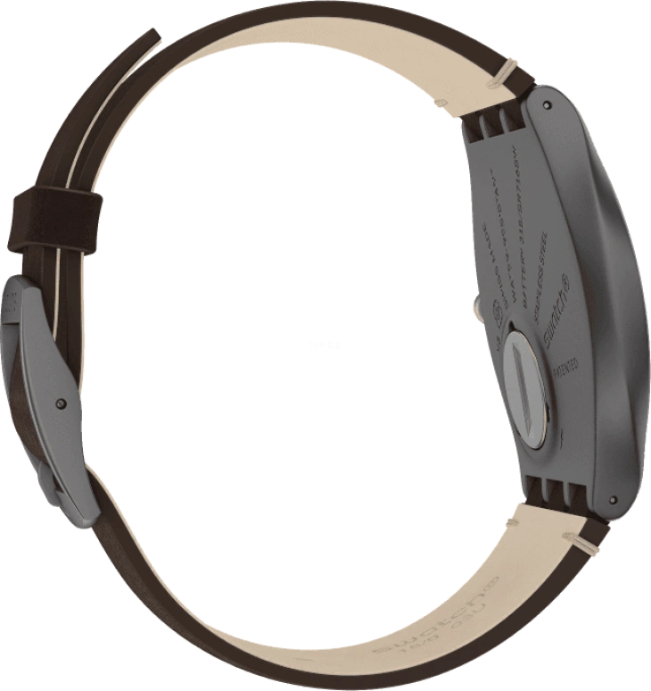 Swatch,SKIN ,SS07M100