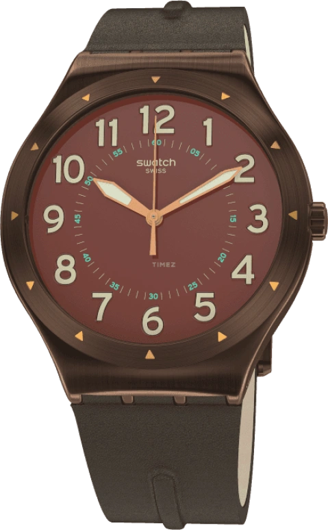 Swatch,IRONY 42.70x47.20mm,42.70x47.20mm,YWC100