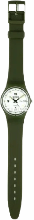 Swatch Other GG702E