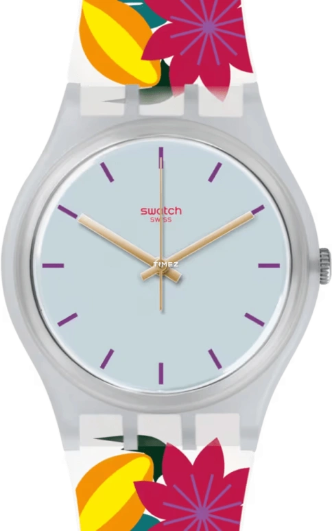 Swatch Originals GW192