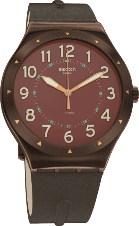 Swatch,IRONY 42.70x47.20mm,42.70x47.20mm,YWC100
