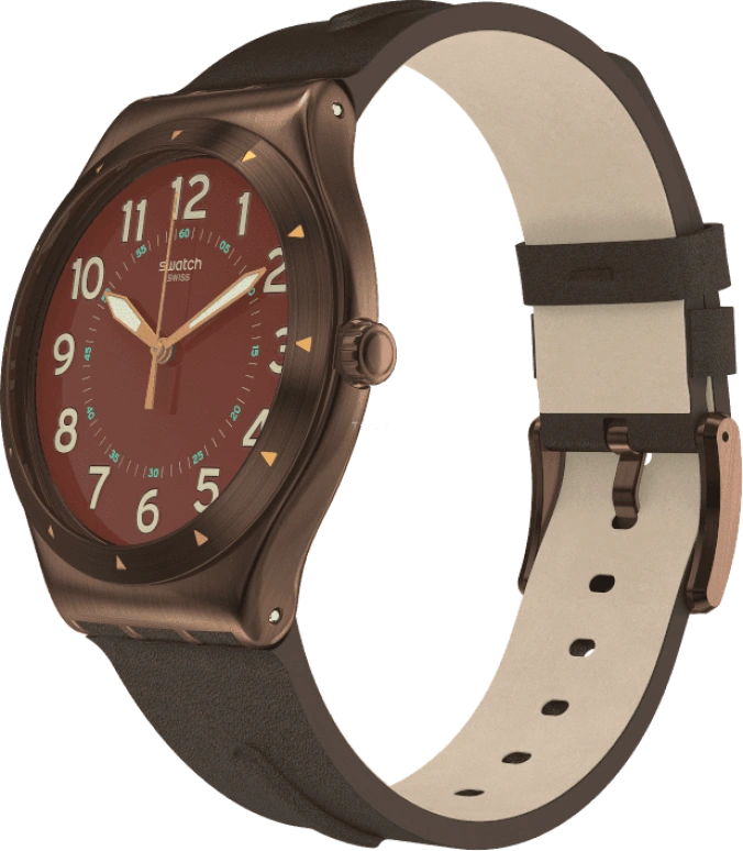 Swatch,IRONY 42.70x47.20mm,42.70x47.20mm,YWC100