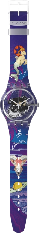 Swatch,Originals 41mm,41mm,Plastic,Transparent,Quartz,Sapphire,Round,SUOK144,SUOK144-061