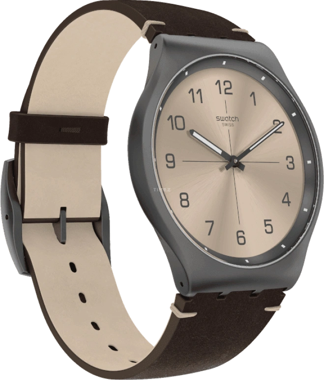 Swatch,SKIN ,SS07M100