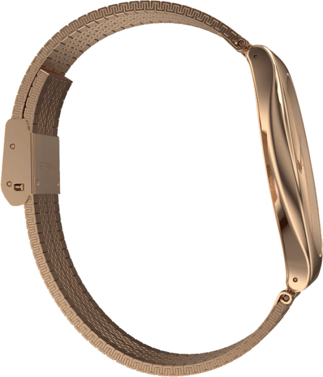 Swatch,SKIN ,Stainless Steel,Gold,SYXG101GG