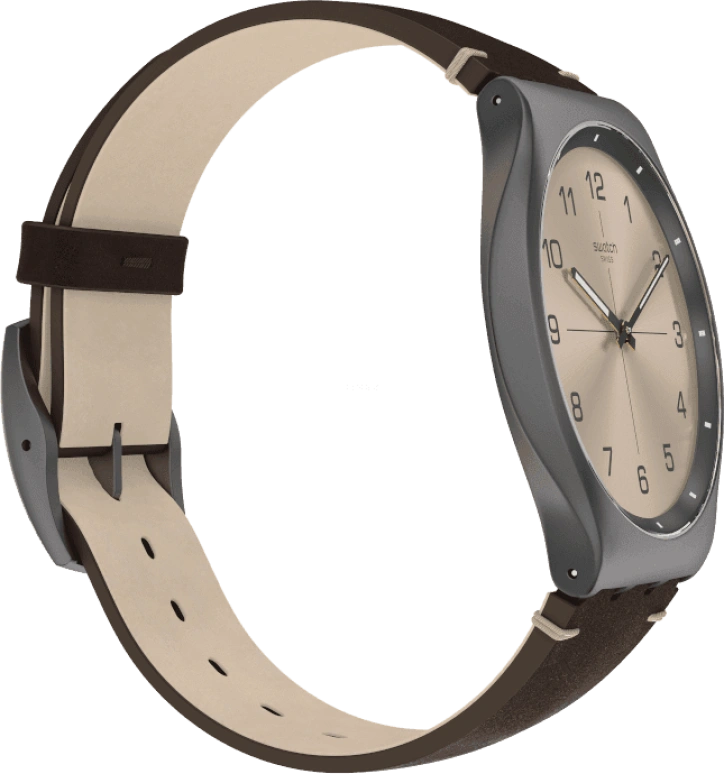 Swatch,SKIN ,SS07M100