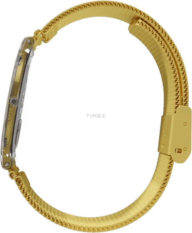 Swatch,SKIN 34mm,34mm,Plastic,Gold,Quartz,Tonneau,Transparent,SFK355M