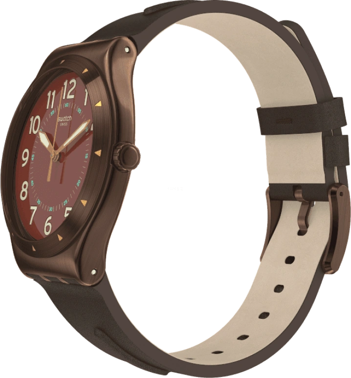 Swatch,IRONY 42.70x47.20mm,42.70x47.20mm,YWC100