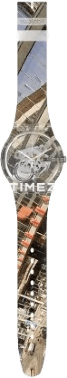 Swatch Other SUOK137-028