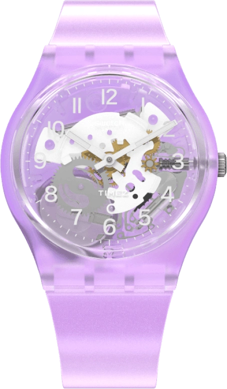 Swatch Other GV136