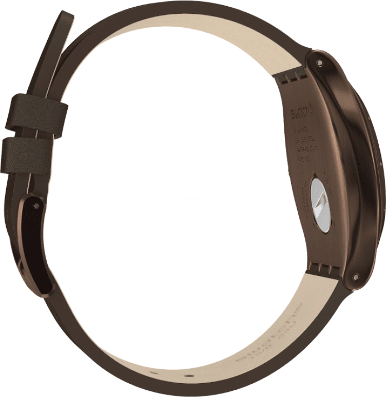Swatch,IRONY 42.70x47.20mm,42.70x47.20mm,YWC100