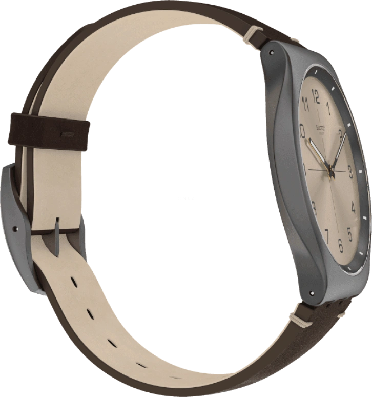 Swatch,SKIN ,SS07M100