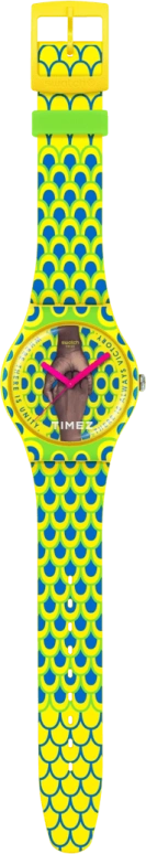 Swatch,Originals 41mm,41mm,Bio-sourced,Yellow,Blue,Quartz,Glass,Round,SO29Z148