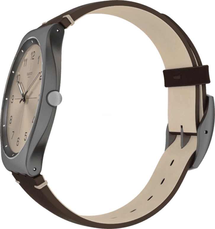 Swatch,SKIN ,SS07M100