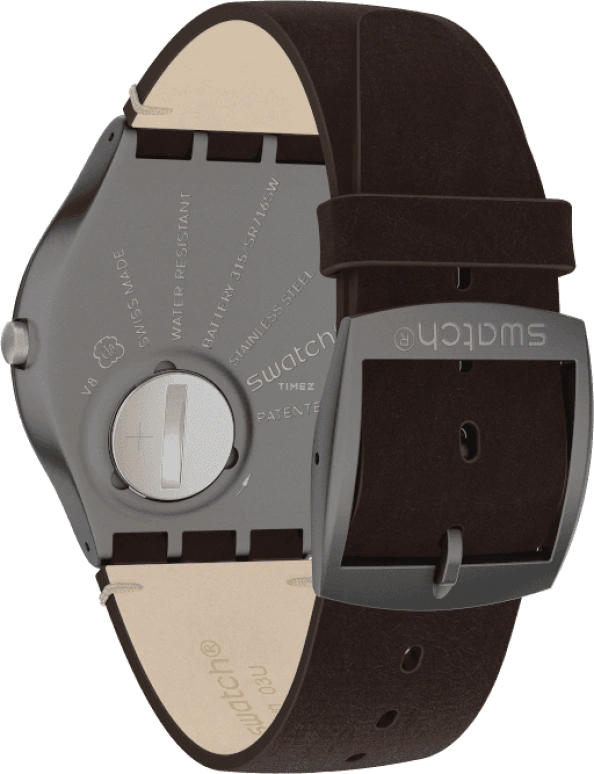Swatch,SKIN ,SS07M100