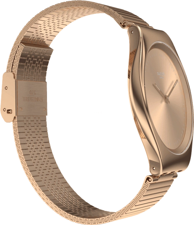 Swatch,SKIN ,Stainless Steel,Gold,SYXG101GG